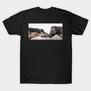 Small Horses, Big Attitudes T-Shirt